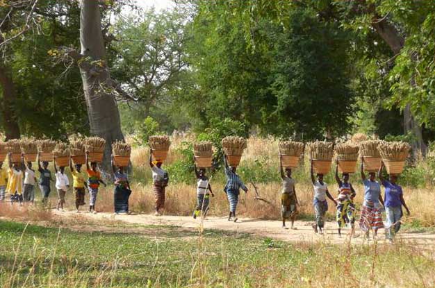 ce beau pays qui est l'Afrique