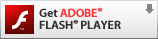 logo Flash PLayer